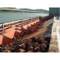 Easy Operate Automatic Palm Oil Equipment with Low Price